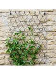 Ivyline Honeycomb Garden Wall Trellis, 84 x 62cm