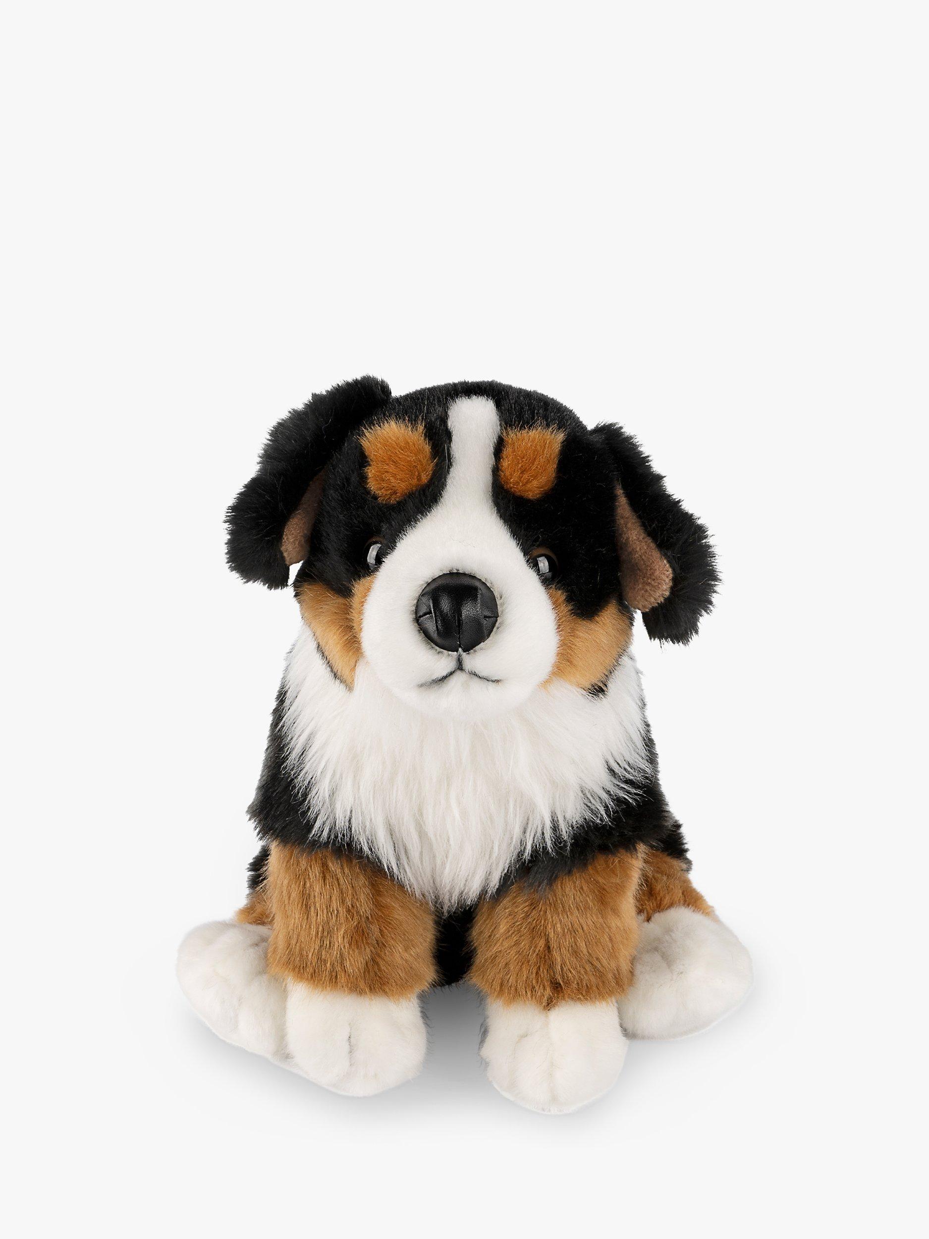 Best toys for bernese mountain dog hotsell