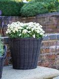 Ivyline Woven Rattan Outdoor Basket Planter, Willow