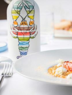 Muraglia Lobster Terracotta Bottle Olive Oil, 500ml - view 2, Multi