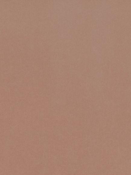 Romo Smooth Velvet Furnishing Fabric, Blossom