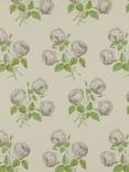 Colefax and Fowler Bowood Wallpaper, Grey/Green 7401/02