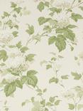 Colefax and Fowler Chantilly Wallpaper, Ivory/Leaf 7816/09