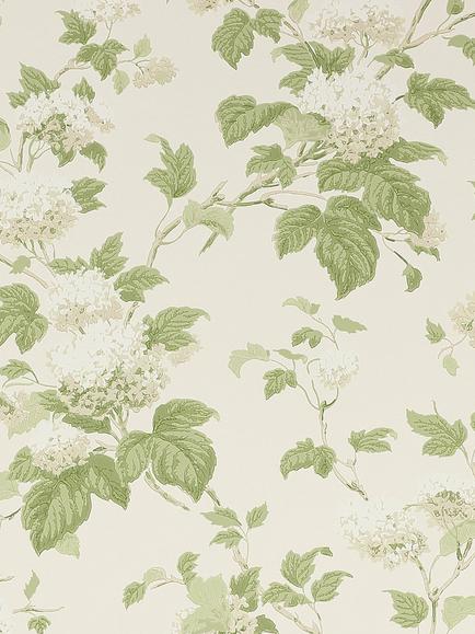 Colefax and Fowler Chantilly Wallpaper, Ivory/Leaf 7816/09