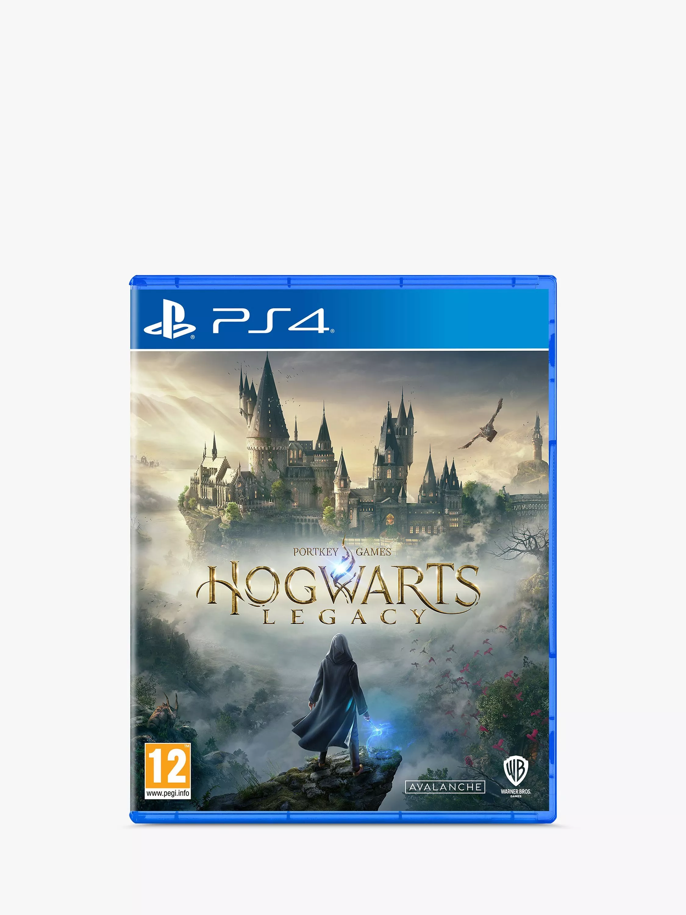 Hogwarts Legacy PS4