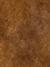 Mottled Velvet Ochre colour