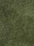 Mottled Velvet Conifer colour