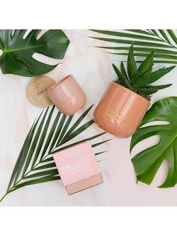 The Little Botanical Pink Cashmere Candle Gift Set - view 2, Pink