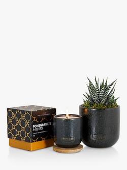 The Little Botanical Back to Black Candle Gift Set, Black