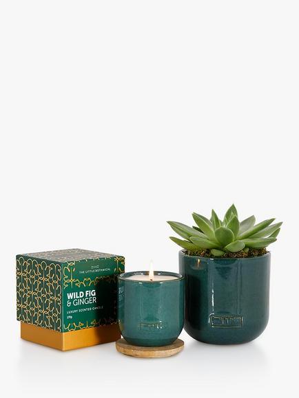 The Little Botanical Forever Green Candle Gift Set, Green