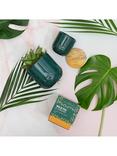The Little Botanical Forever Green Candle Gift Set
