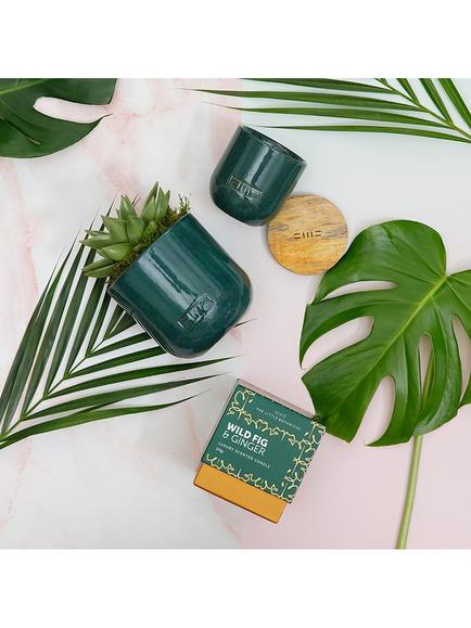 The Little Botanical Forever Green Candle Gift Set - view 2, Green