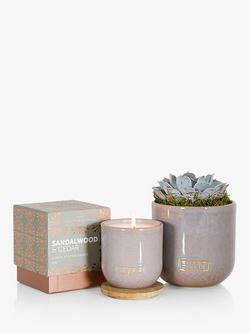 The Little Botanical Touch of Grey Candle Gift Set, Grey