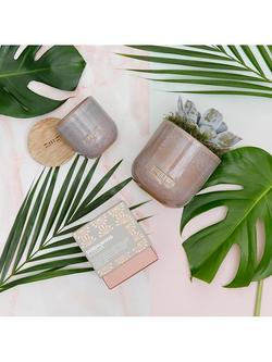 The Little Botanical Touch of Grey Candle Gift Set - view 2, Grey