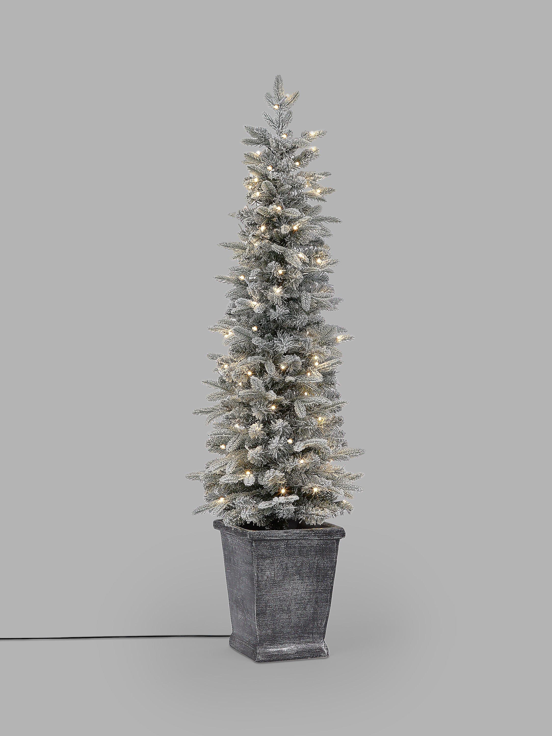 John Lewis Verbier Potted Pre-lit Christmas Tree, 5ft