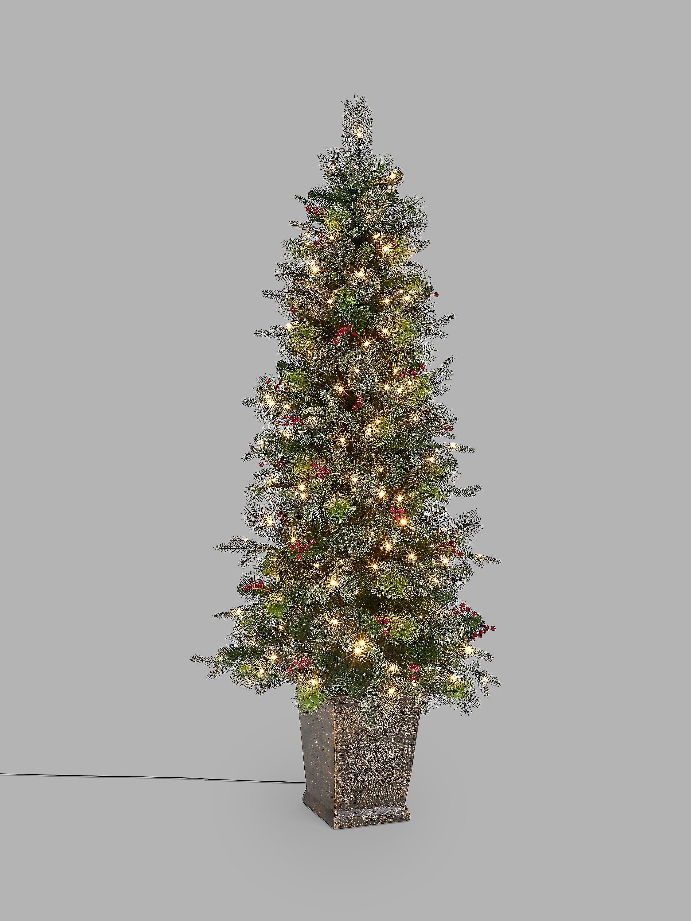 John Lewis Balmoral Berry Potted Pre-Lit Christmas Tree, 6ft