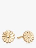 Daisy London Flower Bloom Studs