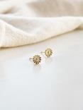 Daisy London Flower Bloom Studs