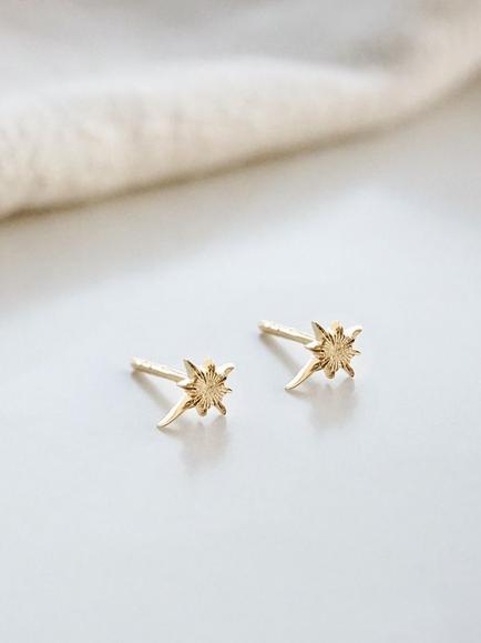 Daisy London North Star Stud Earrings, Gold - view 2, Gold