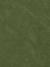 Fern Green Velvet colour
