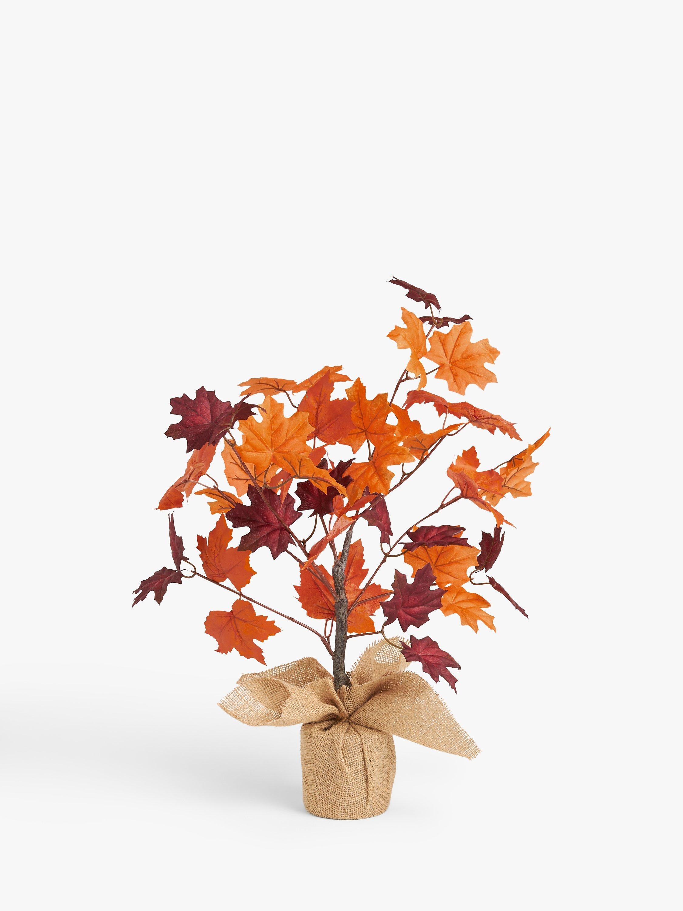 John Lewis Autumn Leaf Tree in Pot, H66cm