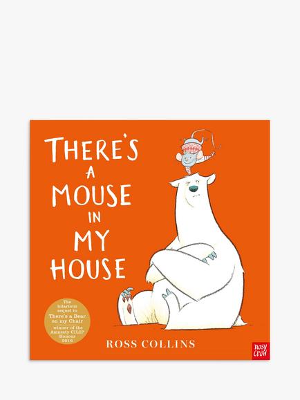 There's a Mouse in My House Kids' Book, Multi