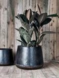 Nkuku Endo Outdoor Planter, 48cm, Aged Black