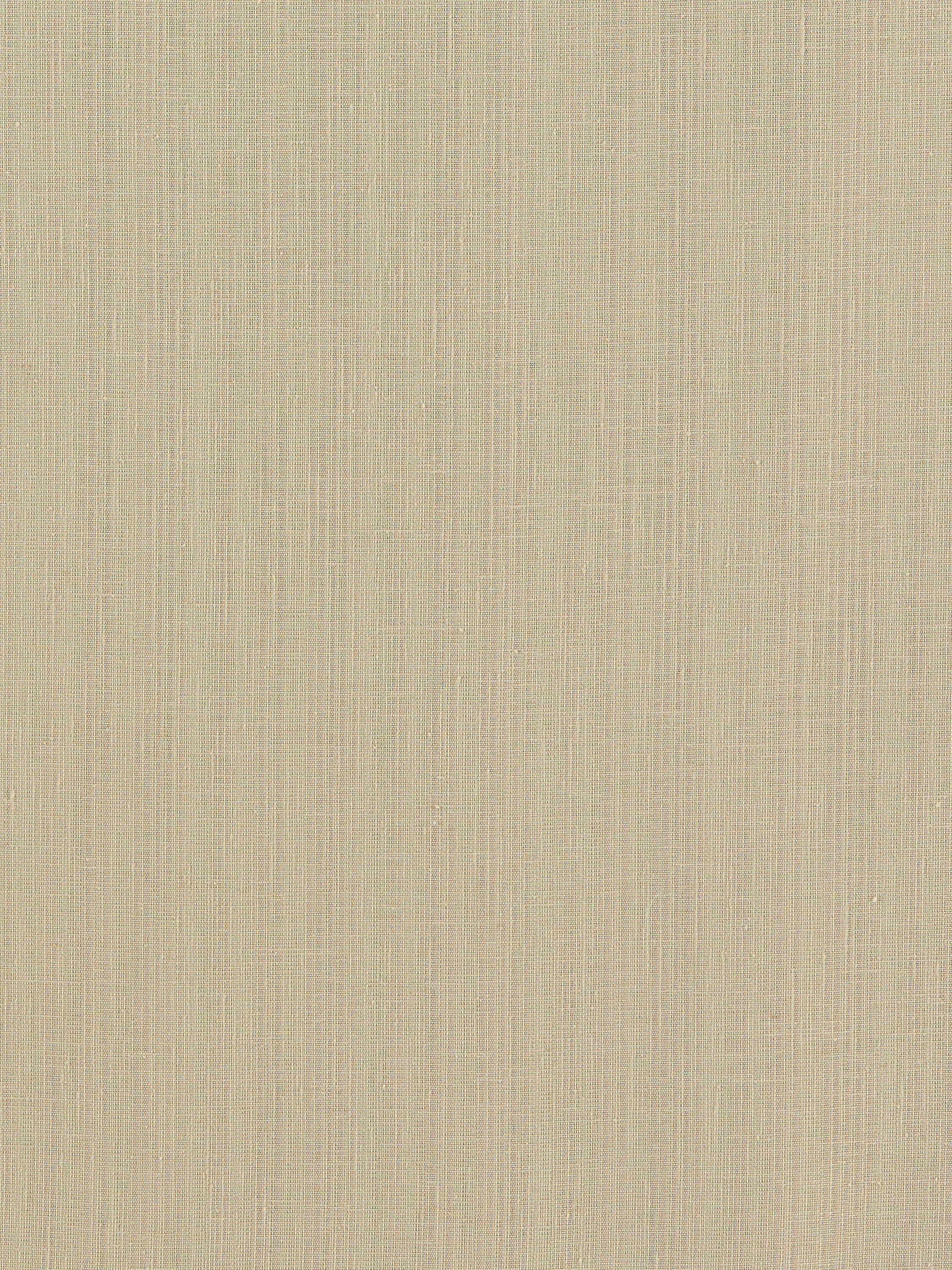 Clarke & Clarke Remo Furnishing Fabric, Linen