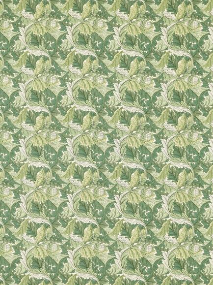 Clarke & Clarke Acanthus Made to Measure Curtains or Roman Blind, Apple/Sage, Apple/Sage