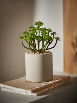 John Lewis Artificial Succulent & Concrete Pot - view 2, Multi