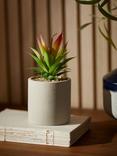 John Lewis Artificial Tall Spiky & Concrete Pot