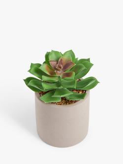 John Lewis Artificial Low Leaved Succulent & Concrete Pot, Multi