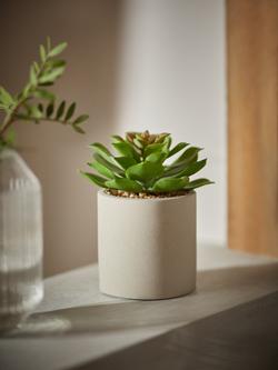 John Lewis Artificial Low Leaved Succulent & Concrete Pot - view 2, Multi
