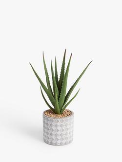 John Lewis Artificial Large Aloe Plant & Concrete Pot, Multi