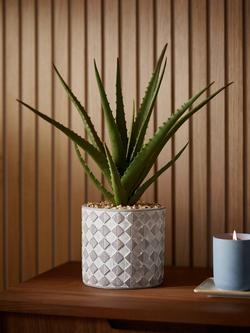 John Lewis Artificial Large Aloe Plant & Concrete Pot - view 2, Multi