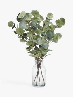 John Lewis Artificial Eucalyptus in Glass Vase, Green, Multi
