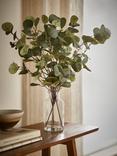 John Lewis Artificial Eucalyptus in Glass Vase, Green
