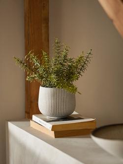John Lewis Artificial Rosemary Plant & Concrete Pot - view 2, Grey/Green