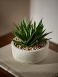 John Lewis Artificial Large Succulent & Concrete Pot