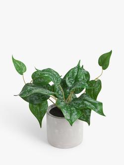 John Lewis Artificial Trailing Plant & Concrete Pot, Multi