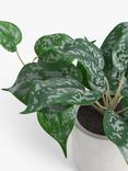 John Lewis Artificial Trailing Plant & Concrete Pot