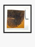 John Lewis + Tate Victor Pasmore 'Black Abstract' Wood Framed Print & Mount, 61 x 61cm