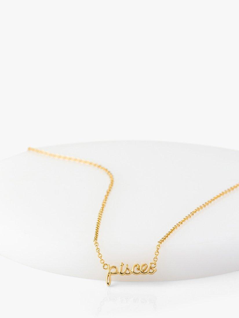Product image 4 of 4, which shows Wanderlust + Co Zodiac Chain Necklace, Pisces