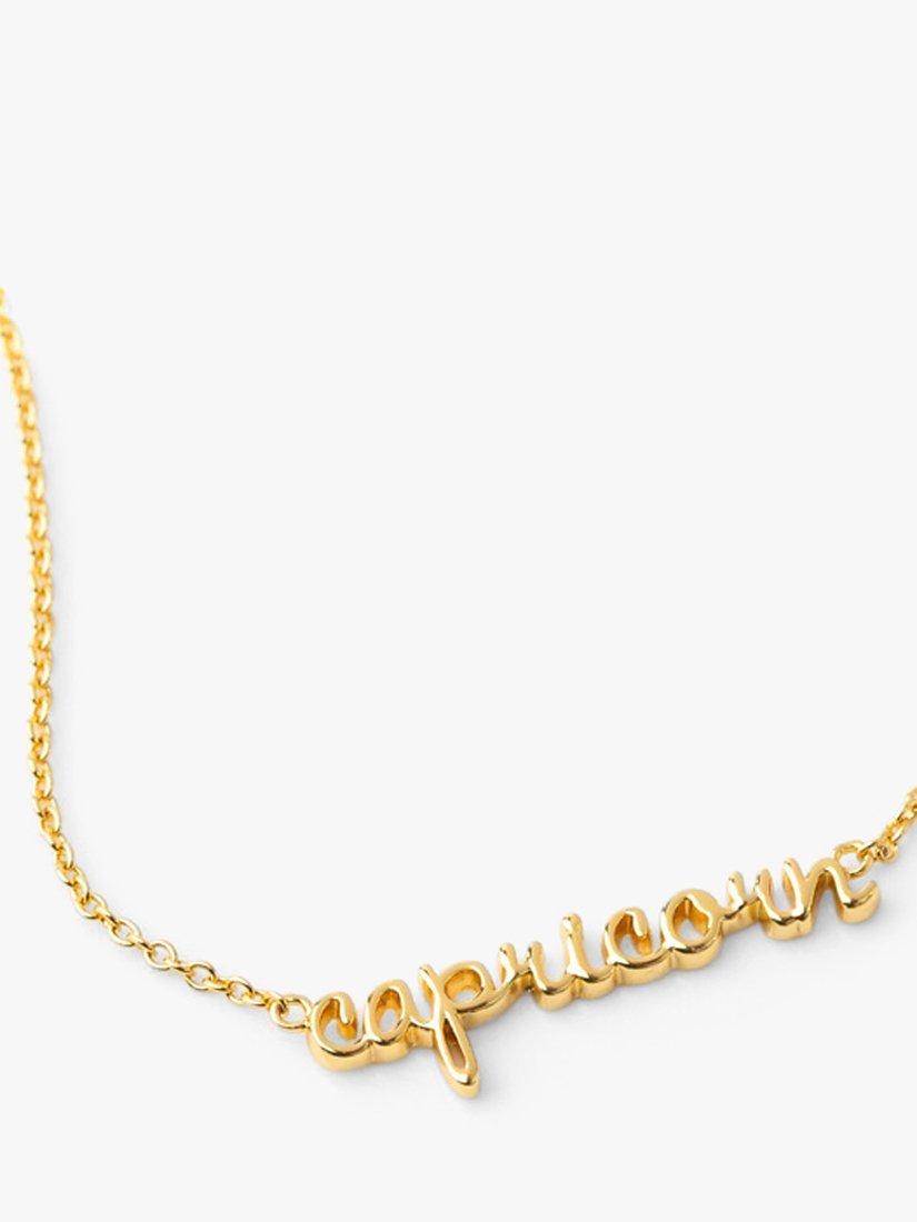 Product image 4 of 4, which shows Wanderlust + Co Zodiac Chain Necklace, Capricorn