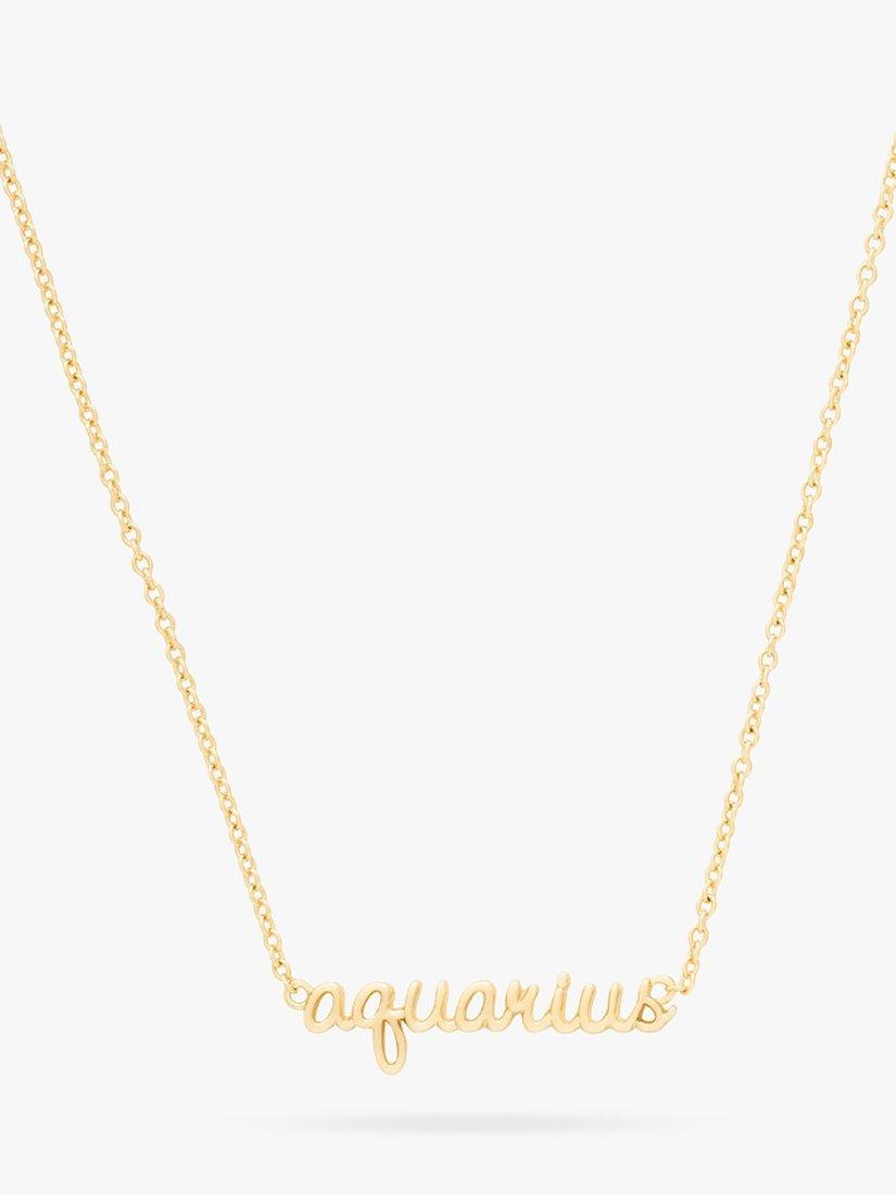 Product image 4 of 4, which shows Wanderlust + Co Zodiac Chain Necklace, Aquarius
