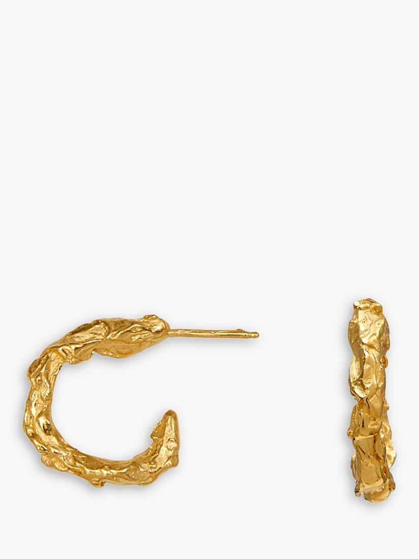 Product image 1 of 2, which shows Deborah Blyth Artemis Demi Hoop Earrings, Gold