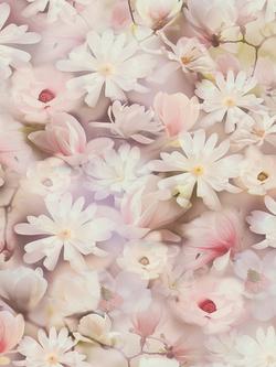 Galerie Romantic Daisy Motif Wallpaper, Pink Bw51029