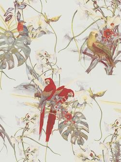 Galerie Exotic Parrot Wallpaper, BW51027, Cream/Red/White BW51028