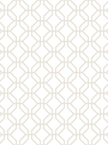 Galerie Trellis Positive Wallpaper, Natural G78529