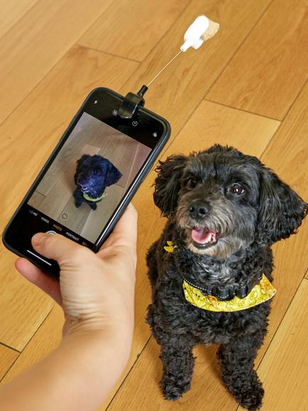 Kikkerland Kobe Dog Treat Selfie Clip - view 2, Multi